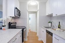 Great Bachelor suites at Braemar Gardens Call Now! - Photo 3