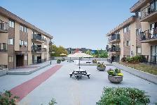 Great Bachelor suites at Braemar Gardens Call Now! - Photo 11