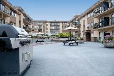 Great Bachelor suites at Braemar Gardens Call Now! - Photo 13