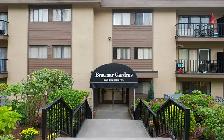 Great Bachelor suites at Braemar Gardens Call Now! - Photo 14