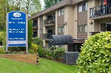 Great Bachelor suites at Braemar Gardens Call Now! - Photo 15