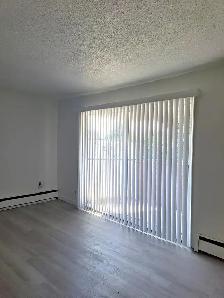 2 Bedroom Apartment for Rent - 2541 Dingwall Street - Photo 4