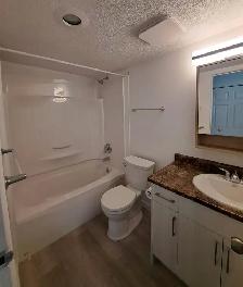 2 Bedroom Apartment for Rent - 2541 Dingwall Street - Photo 5