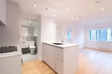 one bedroom near McGill - ID 2019 - Photo 3