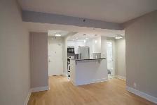 Renovated one bedroom apartment near McGill - ID 1089