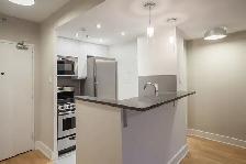 Renovated one bedroom apartment near McGill - ID 1089 - Photo 2