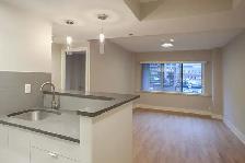 Renovated one bedroom apartment near McGill - ID 1089 - Photo 3