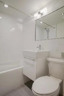 Renovated one bedroom apartment near McGill - ID 1089 - Photo 5