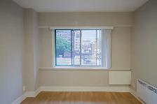 Renovated one bedroom apartment near McGill - ID 1089 - Photo 9