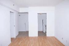 one bedroom near McGill - ID 4697