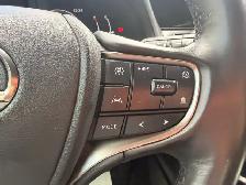2025 Lexus UX UX 300h CVT, F-SPORT DESIGN - Photo 12