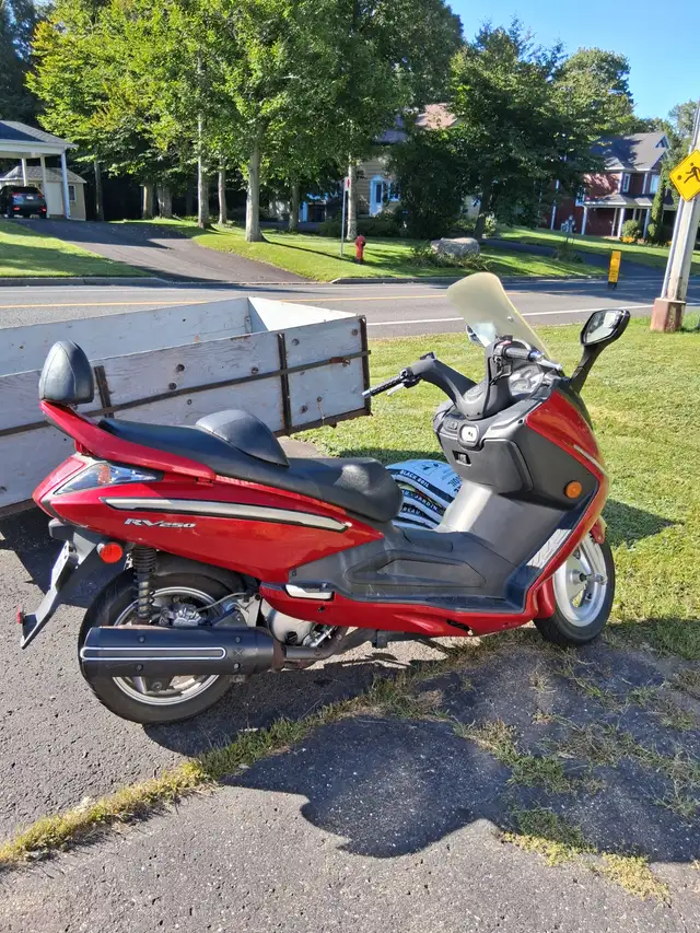 Motocyclette (Scooter 250cc)