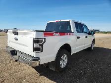 2019 Ford F-150 - Photo 4