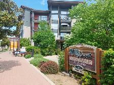 2 Bedroom Apartment for Rent - 2885 Jacklin Road