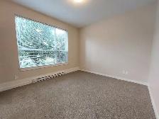 2 Bedroom Apartment for Rent - 2885 Jacklin Road - Photo 8