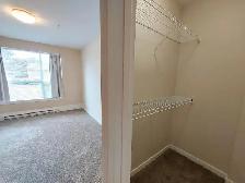 2 Bedroom Apartment for Rent - 2885 Jacklin Road - Photo 14
