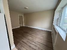 All inclusive, beautifully Renovated & Close 2 hospital & shoppi - Photo 3