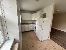 All inclusive, beautifully Renovated & Close 2 hospital & shoppi - Photo 5