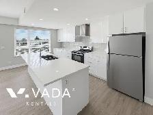 ERA 3 BR APT Rentals 22265 Dewdney Trunk Rd Maple Ridge: VADA - Photo 6