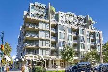 Pulse 1 BR APT Rental 2550 Maple St Vancouver: VADA