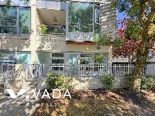 Pulse 1 BR APT Rental 2550 Maple St Vancouver: VADA - Photo 2