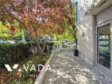 Pulse 1 BR APT Rental 2550 Maple St Vancouver: VADA - Photo 4