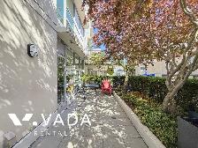Pulse 1 BR APT Rental 2550 Maple St Vancouver: VADA - Photo 5