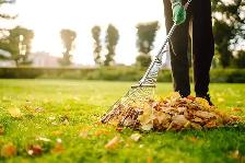 Landscaping - Photo 2