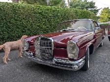 1961 Mercedes 220 SE coup,all numbers match.