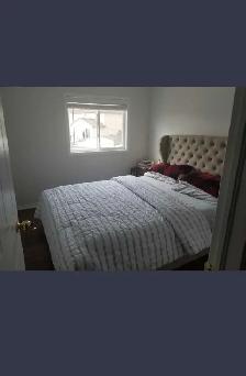 Private room for rent - Photo 4