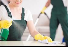 cleaner neeeded immediately