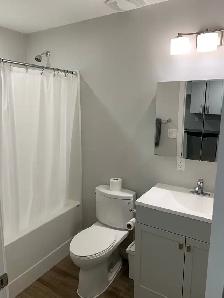 Furnished Suite (All Utilities Included!) - Photo 7