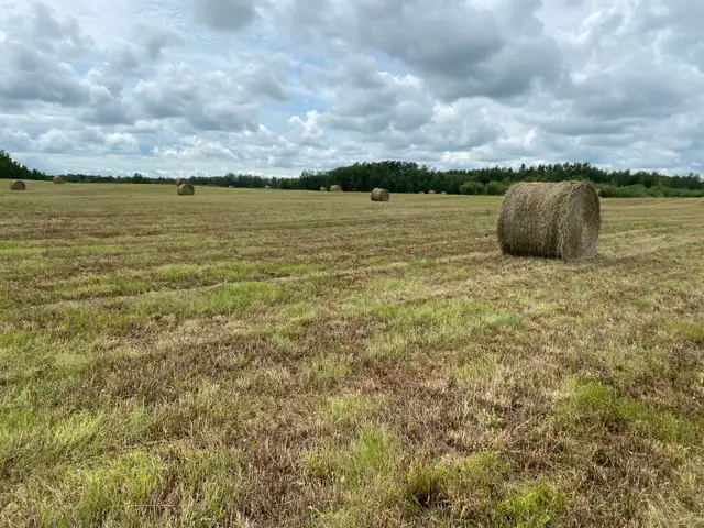 69" hardcore bales