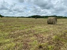 69" hardcore bales