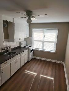 One Bedroom Apartment in St. Catharines - Photo 3