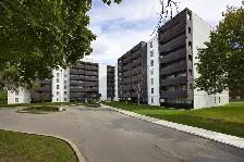 1 Bedroom Apartment for Rent - 1915 Martin Grove Rd