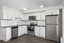 1 Bedroom Apartment for Rent - 1915 Martin Grove Rd - Photo 5