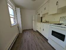 Large Spacious 1 Bedroom Upper Apartment Unit - Photo 4