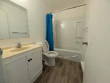 Large Spacious 1 Bedroom Upper Apartment Unit - Photo 6