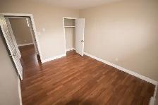11A Aylward Pl -  Huge Two Bedroom with Two Vehicle Parking - Photo 8