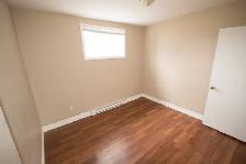 11A Aylward Pl -  Huge Two Bedroom with Two Vehicle Parking - Photo 9