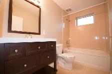 11A Aylward Pl -  Huge Two Bedroom with Two Vehicle Parking - Photo 12