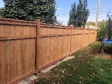 Fence Installation or Replacements in Discounted Price