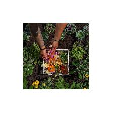 Vita 4x4 Composting Keyhole Garden Bed - Photo 4