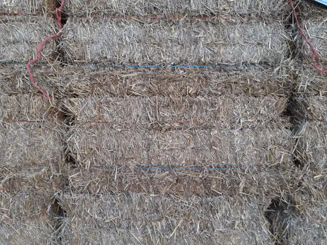 Straw Bales