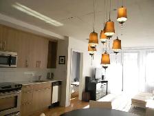 Downtown, fully furnished, lowney, Griffintown, Condo - Photo 3