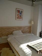 Downtown, fully furnished, lowney, Griffintown, Condo - Photo 4