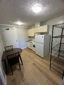 Bachelor Apartment Available October in Minnow Lake Area - Photo 2