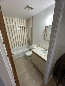 Bachelor Apartment Available October in Minnow Lake Area - Photo 4