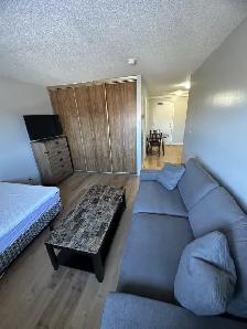 Bachelor Apartment Available October in Minnow Lake Area - Photo 6